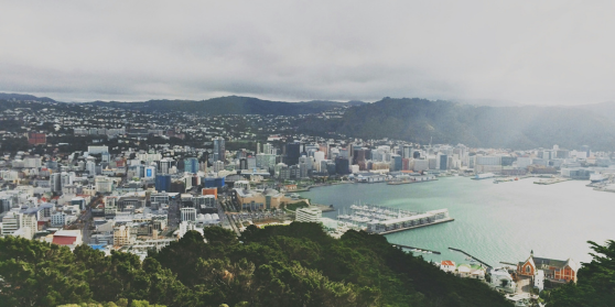 What are the best investments in New Zealand