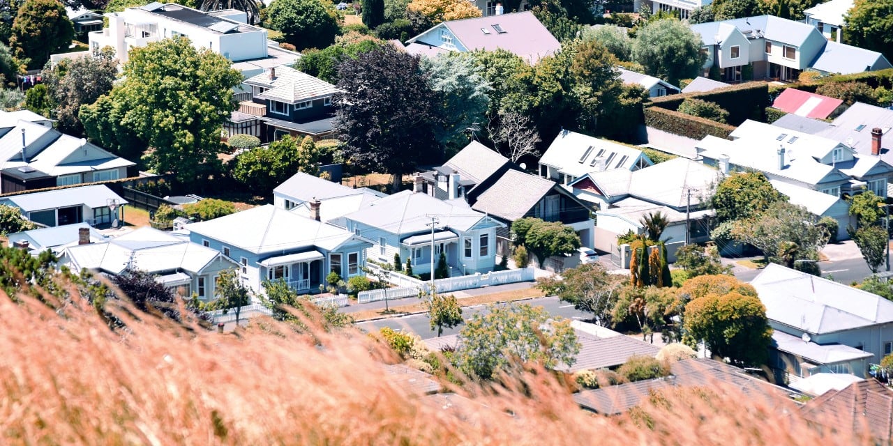 New Zealand suburbs seen from a hill