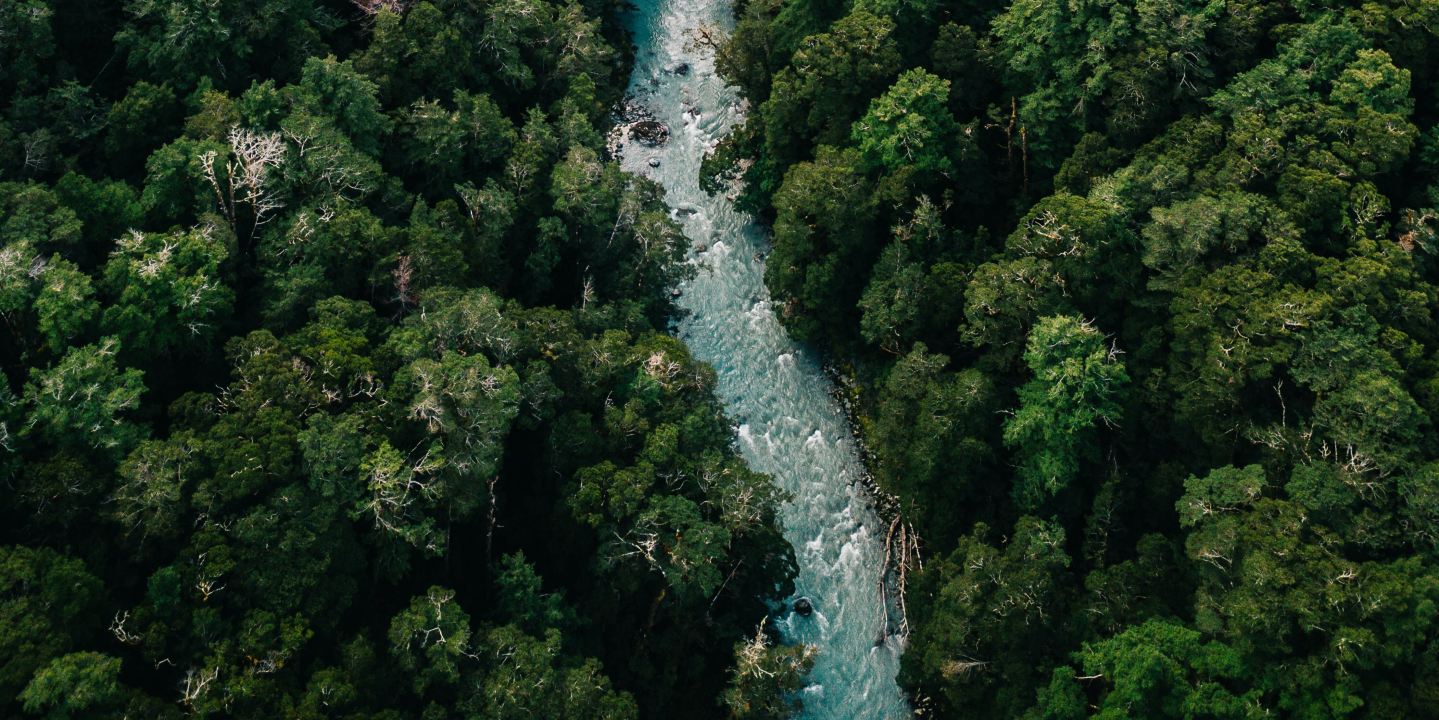 A river between two forests
