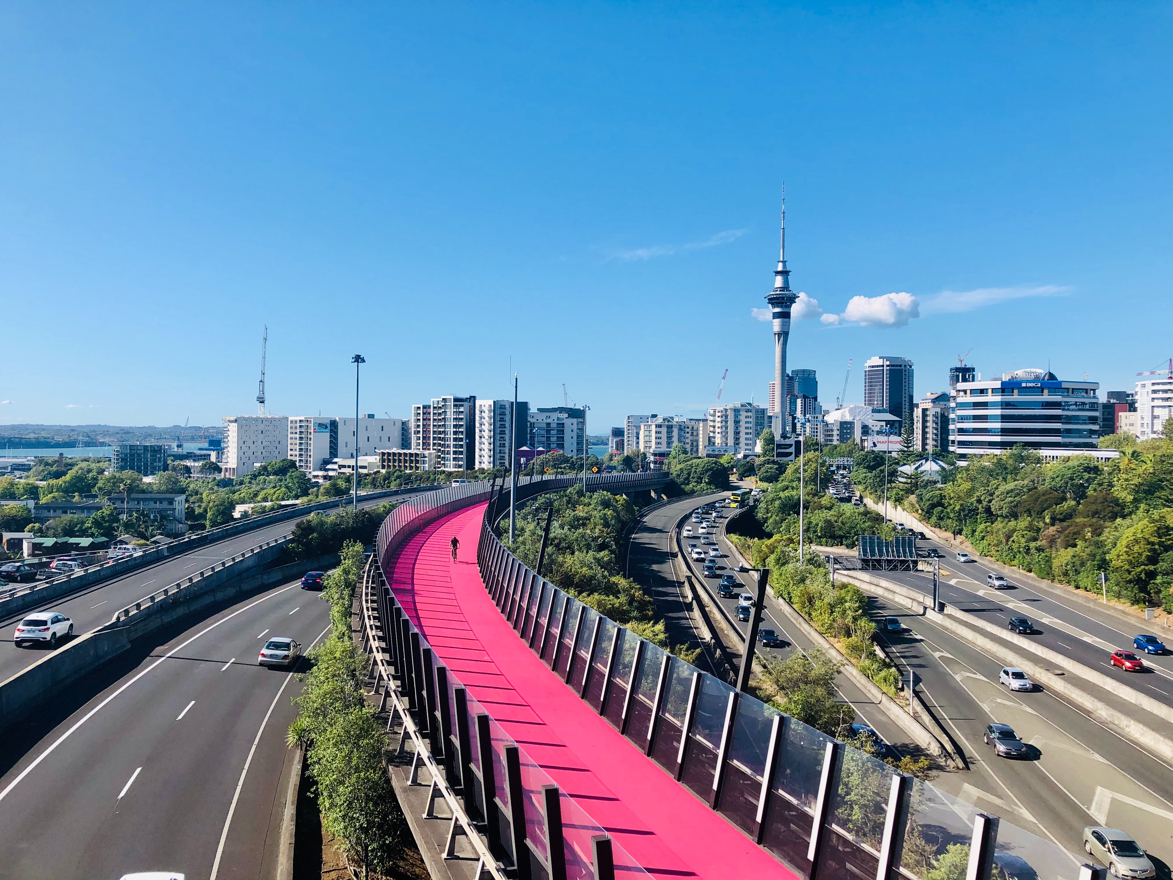 Auckland pink bike path, with Auckland CBD skyline in the background